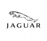 diagnosis-jaguar